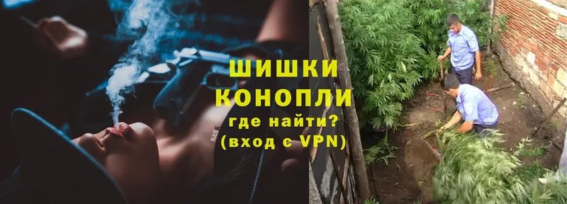 Конопля Ganja  Магас 